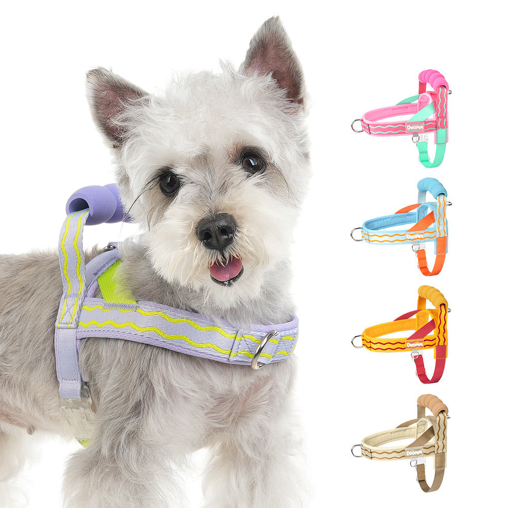 Leashes
