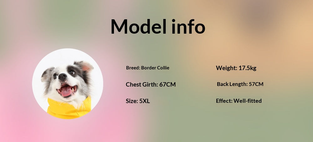 Cross-border medium and large dog breeds Border Collie Labrador Shiba Inu four-legged jacket, waterproof and windproof dog clothes, raincoat