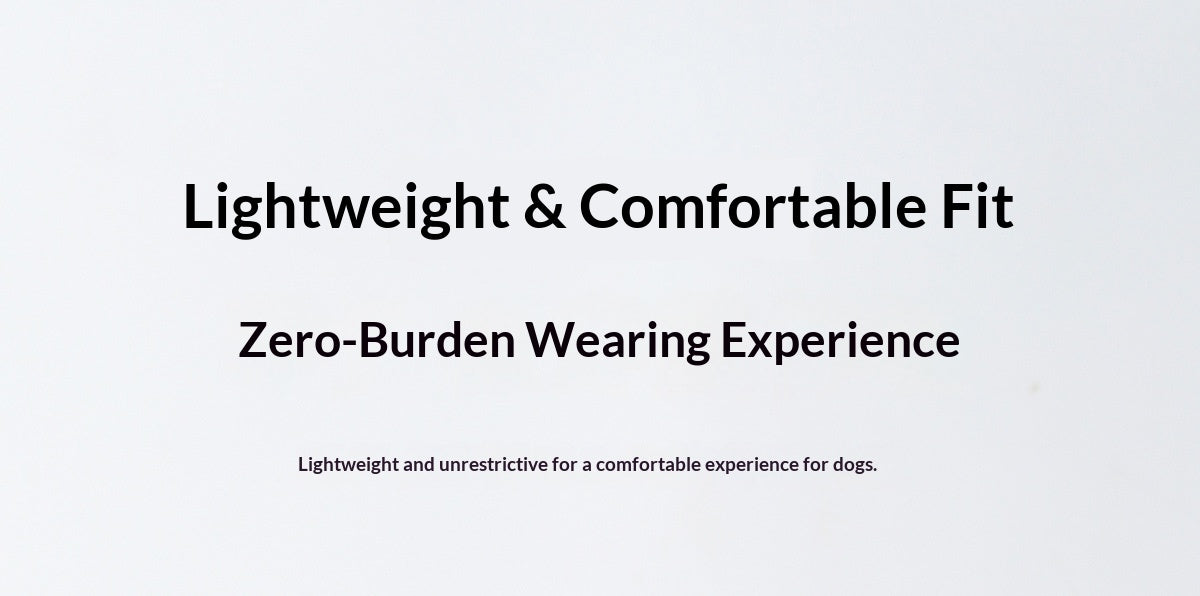 Dog leash, harness, vest style, for small dogs like Bichon Frise and Pomeranian, pet harness, dog leash, pet supplies