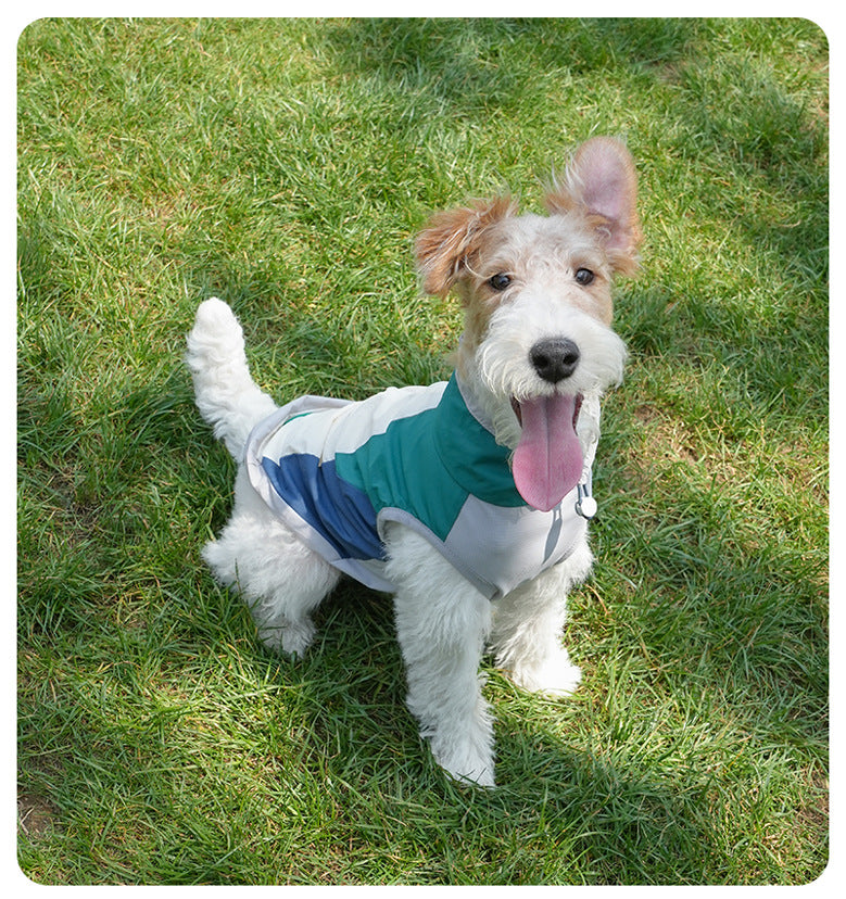 New summer pet sun protection clothing, thin and breathable skin-protecting shirt for small and medium-sized dogs, wholesale