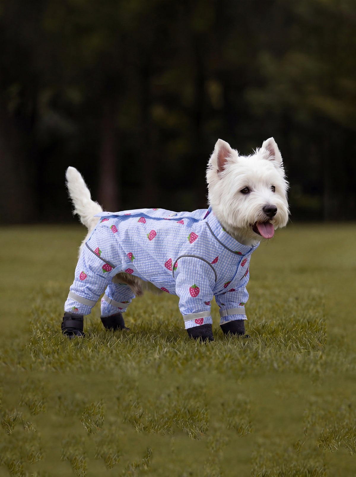 Dog dustproof pants, plaid leash, spring/summer, full-coverage, footed, outdoor, dirt-proof, waterproof pet clothing