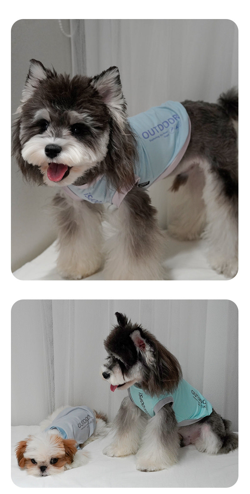 Cool-feet color-blocked breathable outerwear for Bichon Frise and Schnauzer dogs, suitable for spring and summer. Wholesale puppies and cats
