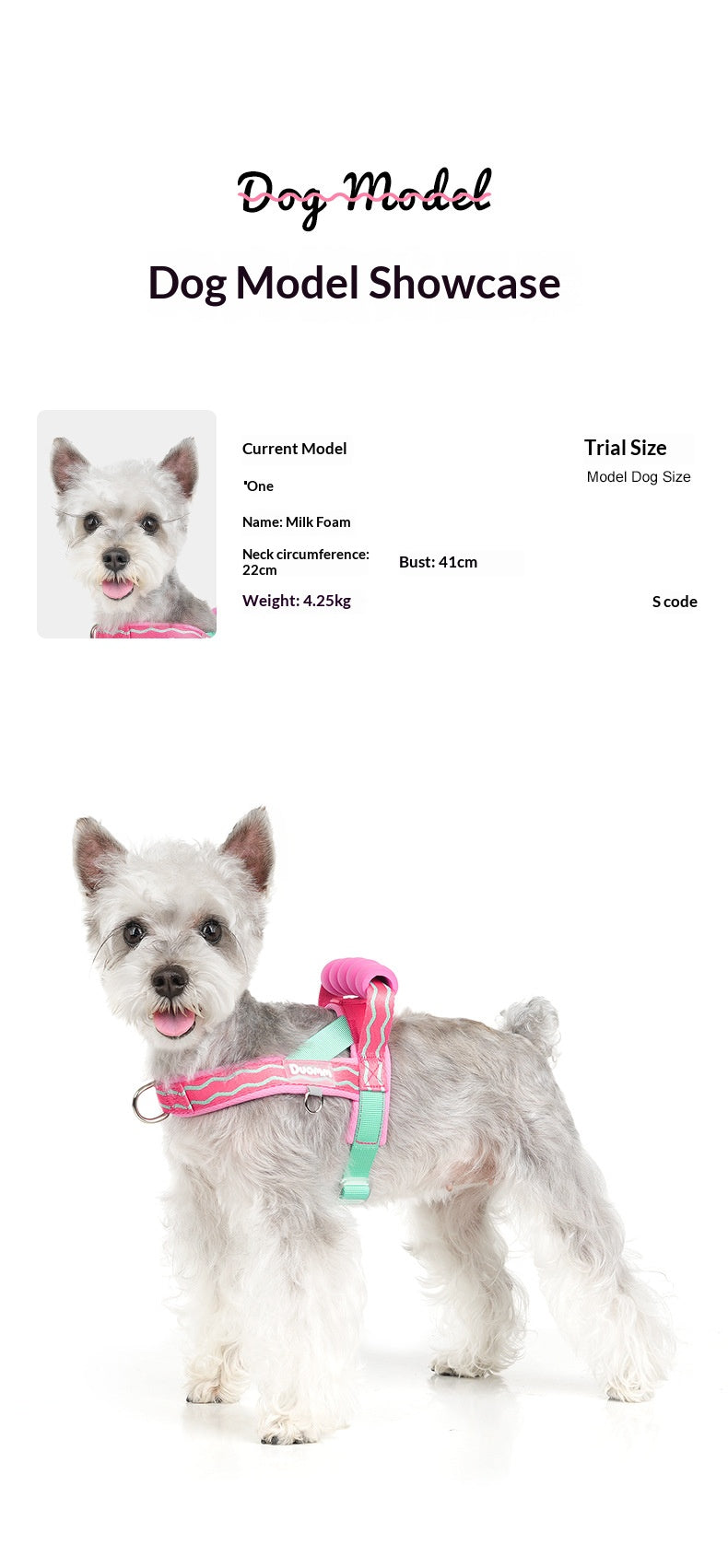 Durable T-shaped comfortable dog leash, dog harness, vest, pet walking leash for small and medium-sized dogs