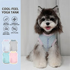 Cool-feet color-blocked breathable outerwear for Bichon Frise and Schnauzer dogs, suitable for spring and summer. Wholesale puppies and cats