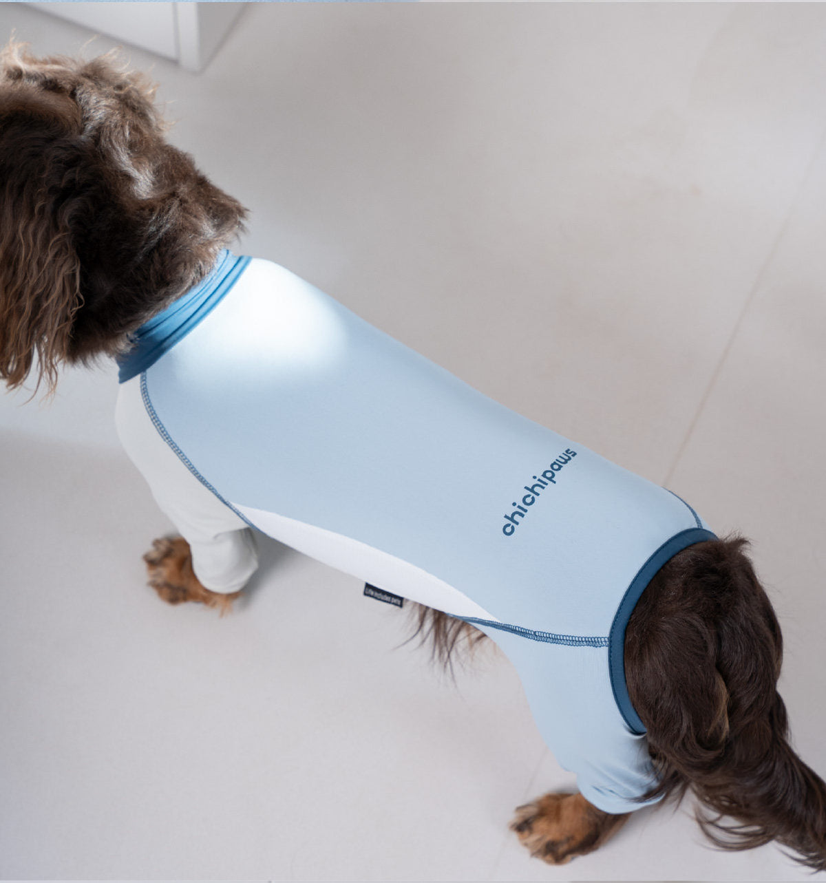 Pet sun protection clothing, four-legged dog cooling clothing, skin-protecting clothing to prevent hair flying and cool down, suitable for medium and large dogs in summer