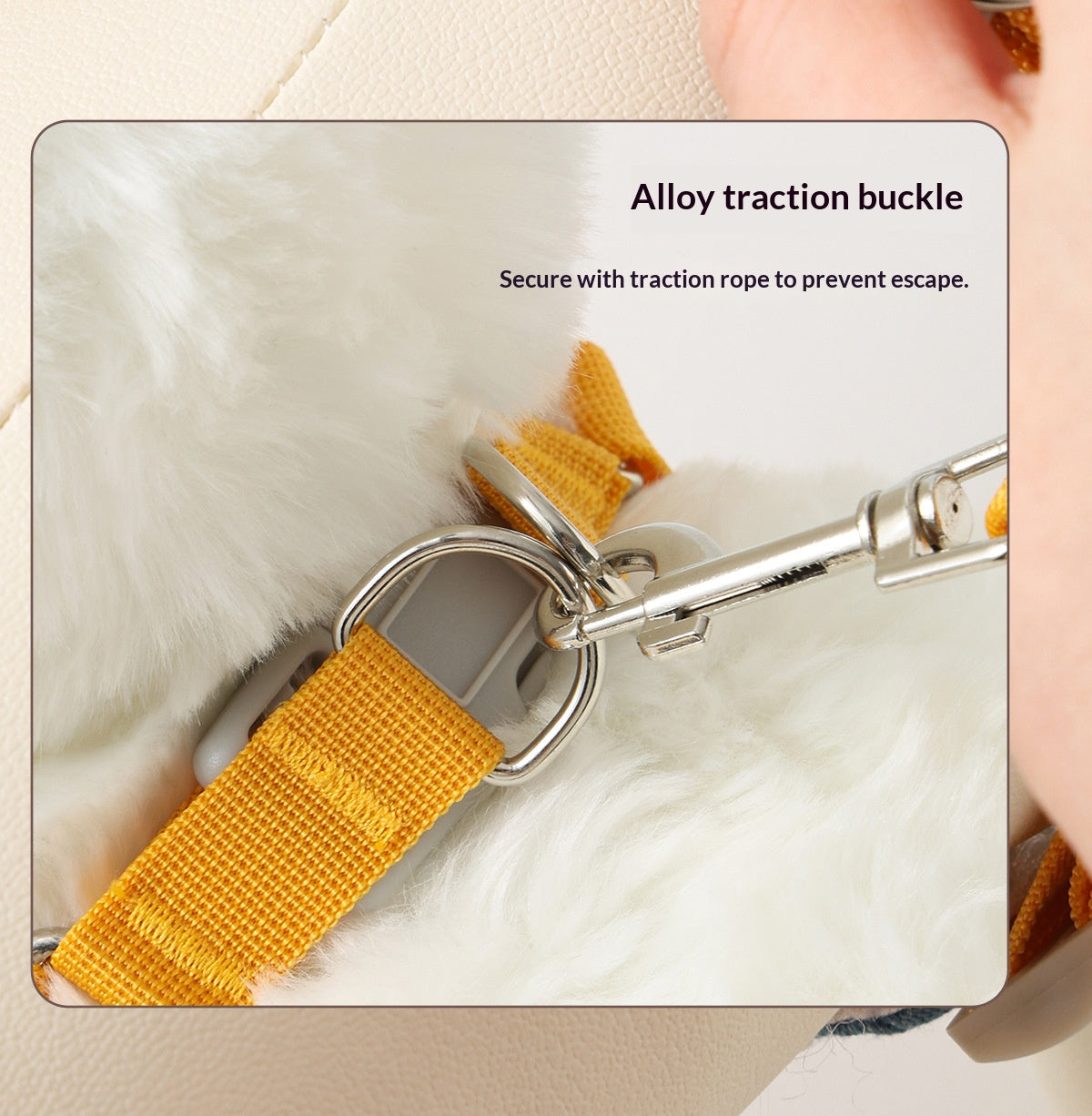 Dog leash, harness, vest style, for small dogs like Bichon Frise and Pomeranian, pet harness, dog leash, pet supplies