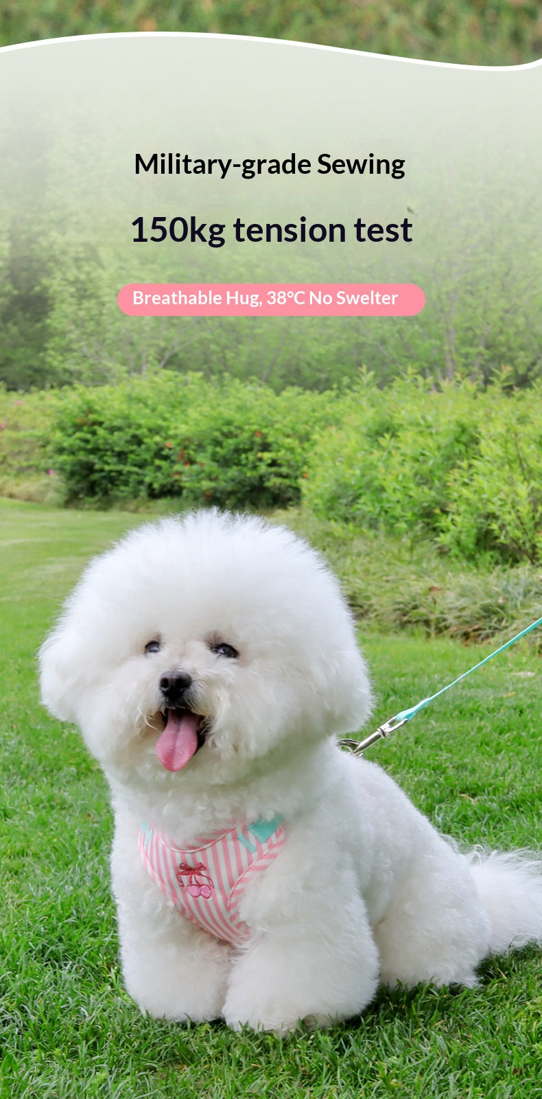 Pet vest-style harness, small dog leash, anti-escape, cute dog rope, small and medium-sized dog leash