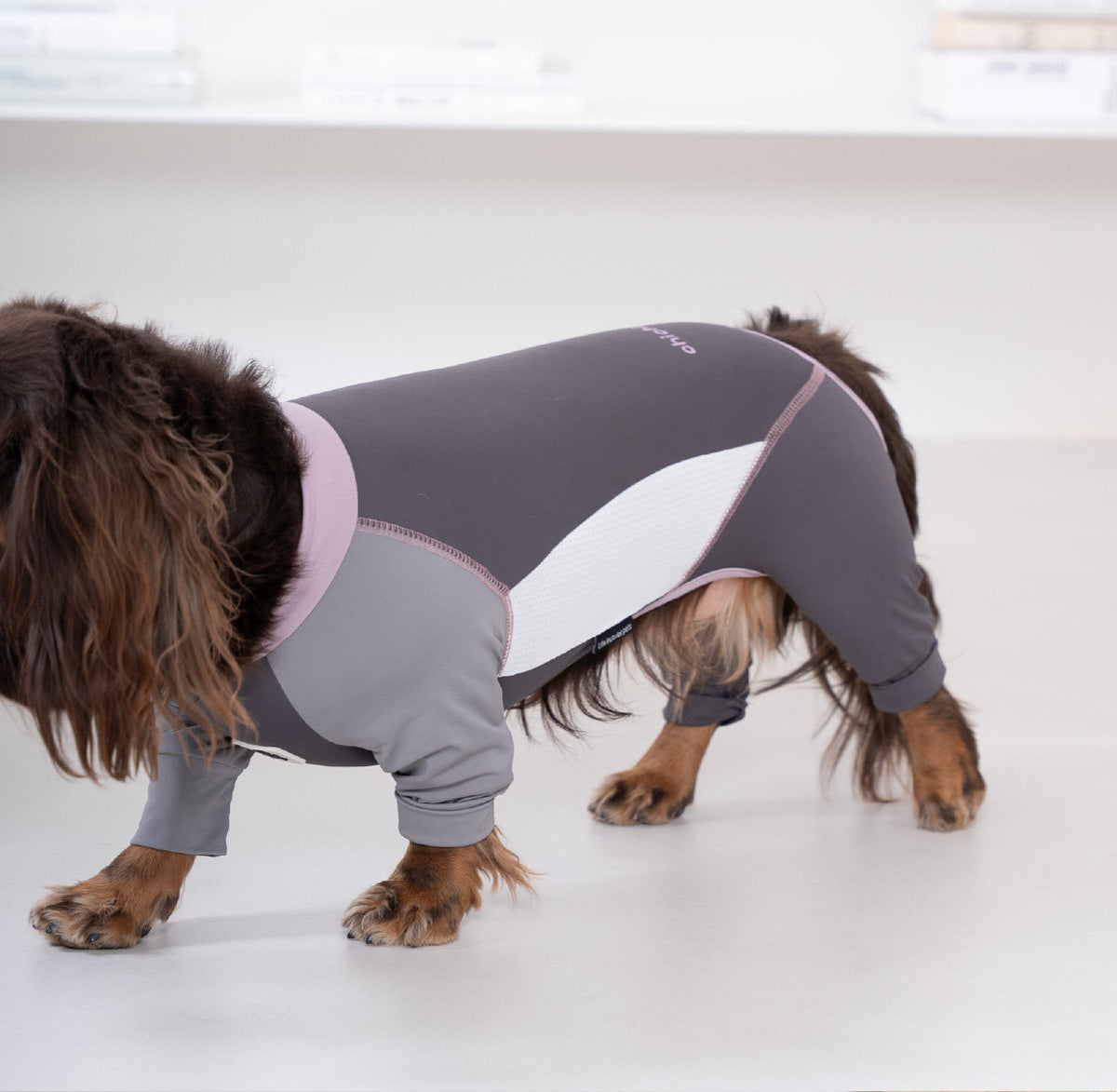 Pet sun protection clothing, four-legged dog cooling clothing, skin-protecting clothing to prevent hair flying and cool down, suitable for medium and large dogs in summer