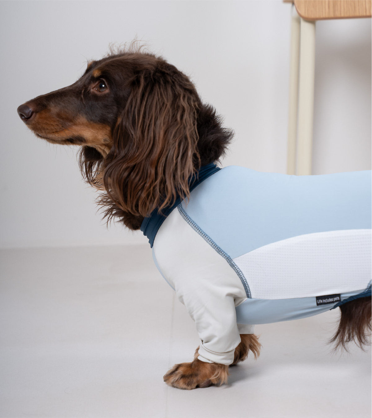 Pet sun protection clothing, four-legged dog cooling clothing, skin-protecting clothing to prevent hair flying and cool down, suitable for medium and large dogs in summer