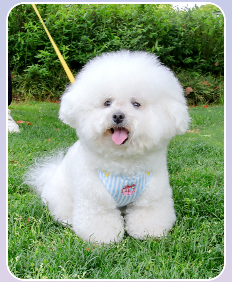 Pet vest-style harness, small dog leash, anti-escape, cute dog rope, small and medium-sized dog leash
