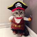 Funny dog clothes, cat costumes, Bichon Frise puppies, small dogs, Teddy pirate costumes, pet outfits