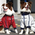 Stylish and trendy new autumn/winter pet clothes for medium and large dogs, including Golden Retriever, Border Collie, and Labrador Retriever fleece-lined warm coats