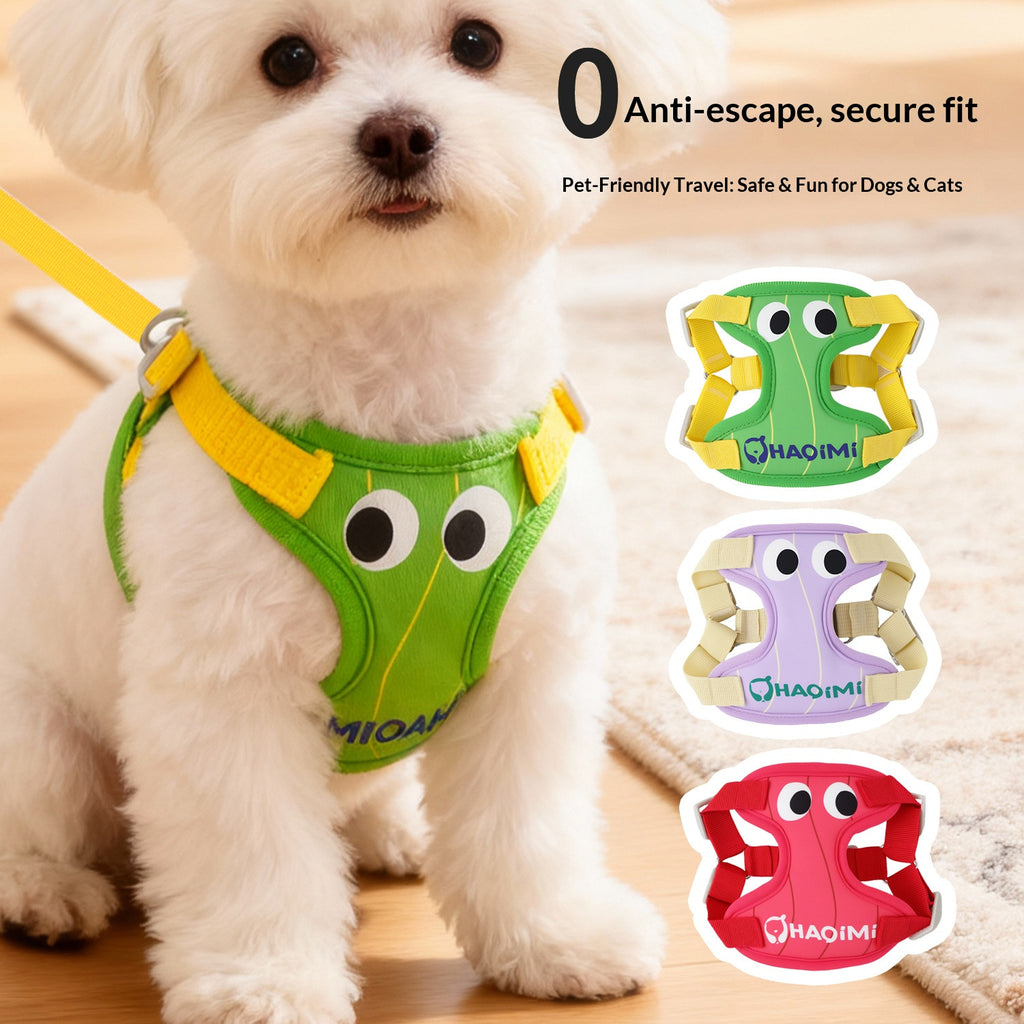 Dog leash vest for Pomeranian, Teddy, Bichon Frise puppies, and other small breeds; dog harness, leash, and dog chain