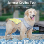 Cross-border factory direct sales of dog cooling vests, pet clothes, summer breathable pet heatstroke prevention and cooling dog clothes