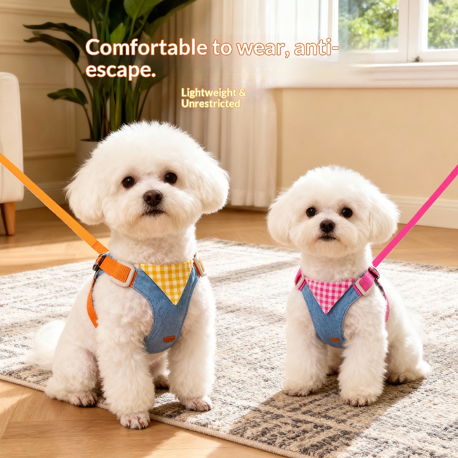 Dog leash, harness, vest style, for small dogs like Bichon Frise and Pomeranian, pet harness, dog leash, pet supplies