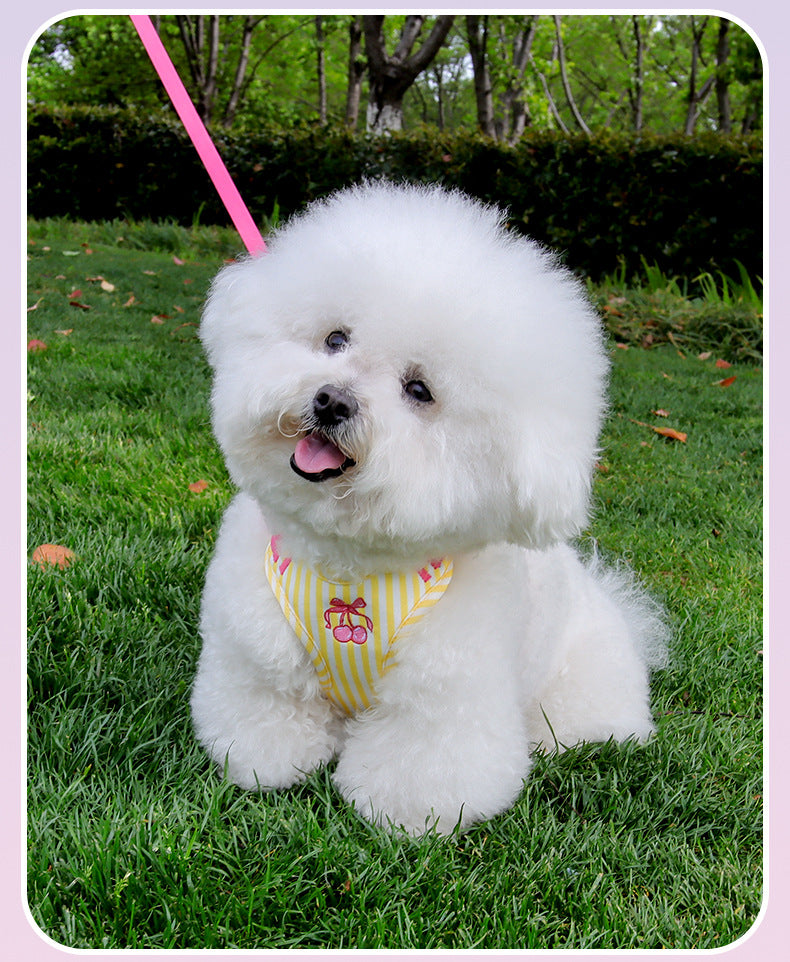 Pet vest-style harness, small dog leash, anti-escape, cute dog rope, small and medium-sized dog leash