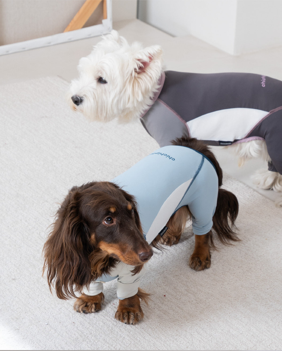 Pet sun protection clothing, four-legged dog cooling clothing, skin-protecting clothing to prevent hair flying and cool down, suitable for medium and large dogs in summer