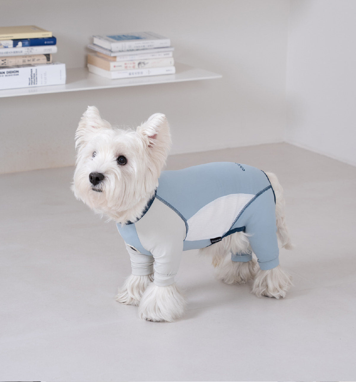 Pet sun protection clothing, four-legged dog cooling clothing, skin-protecting clothing to prevent hair flying and cool down, suitable for medium and large dogs in summer