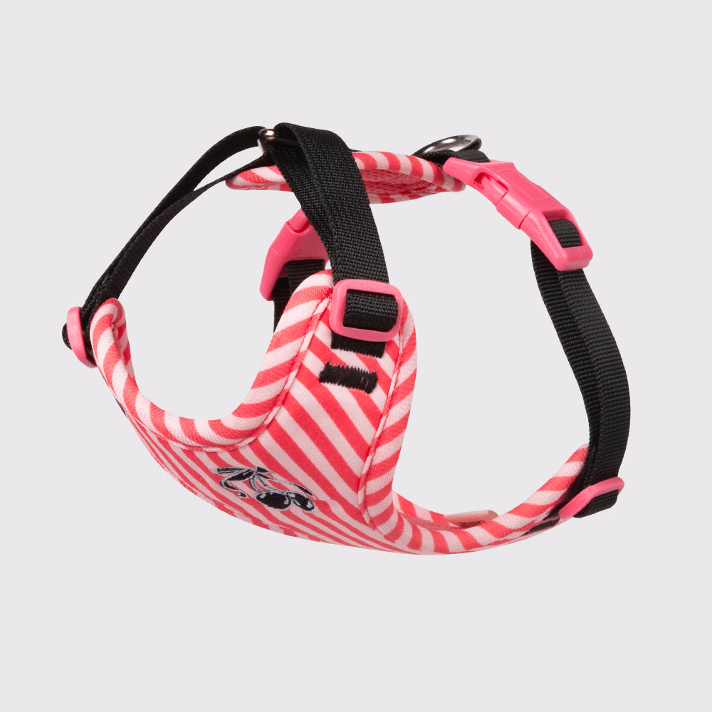 Pet vest-style harness, small dog leash, anti-escape, cute dog rope, small and medium-sized dog leash