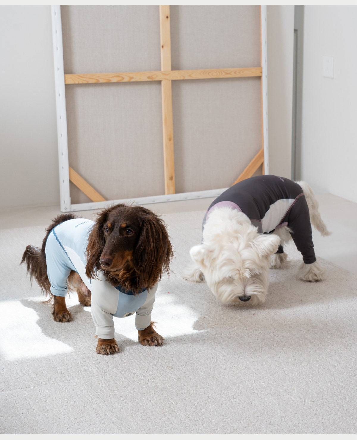 Pet sun protection clothing, four-legged dog cooling clothing, skin-protecting clothing to prevent hair flying and cool down, suitable for medium and large dogs in summer