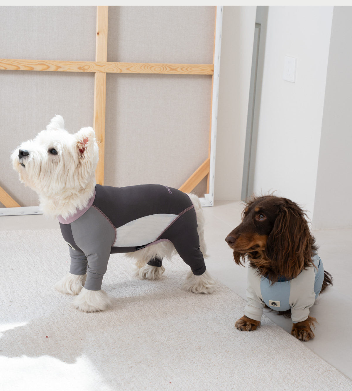 Pet sun protection clothing, four-legged dog cooling clothing, skin-protecting clothing to prevent hair flying and cool down, suitable for medium and large dogs in summer
