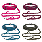Cross-border explosion-proof running dog leash, nylon reflective multi-functional stretchable sports waist bag, pet leash
