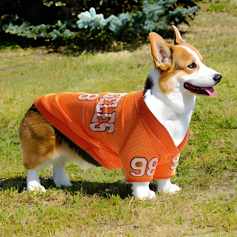 2025 New American Style Pet Clothing: Breathable Mesh Thin Dog T-Shirt for Teddy, Corgi, and Schnauzer - Cooling Style