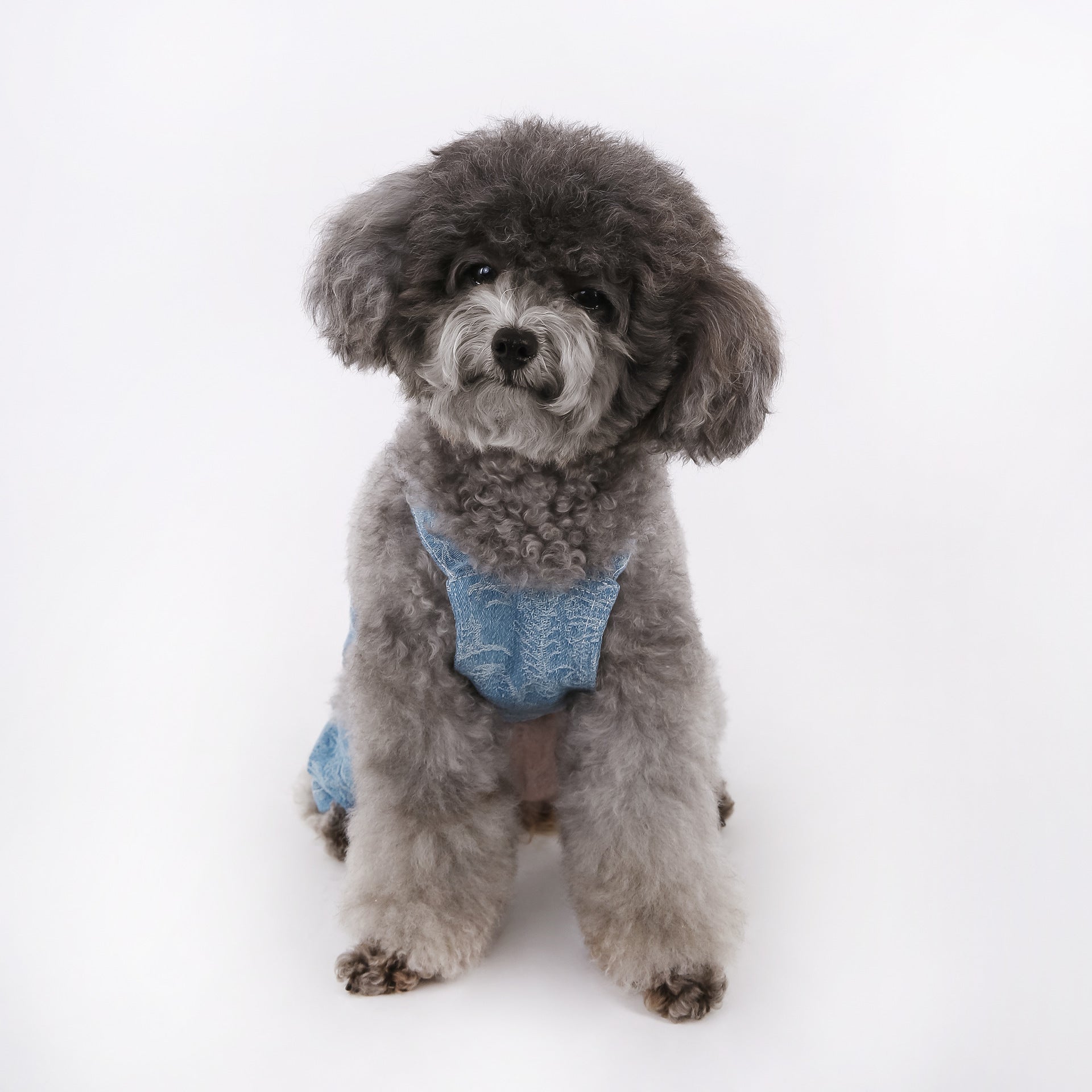 New Jacquard Denim Overalls for Schnauzers, Teddy Bears, and Bichon Frises
