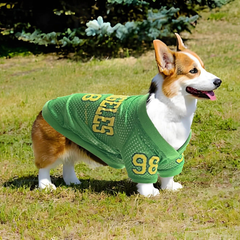 2025 New American Style Pet Clothing: Breathable Mesh Thin Dog T-Shirt for Teddy, Corgi, and Schnauzer - Cooling Style