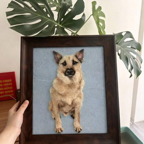 Wool felt