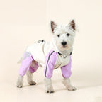 Full-coverage waterproof raincoat for dogs, including Teddy, Pomeranian, and small/medium-sized breeds like Bichon Frise.
