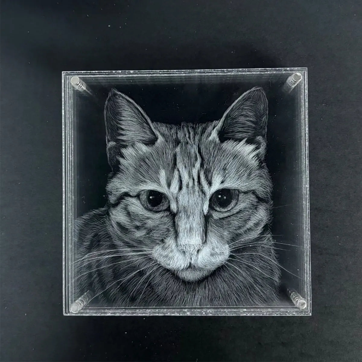Stereoscopic picture