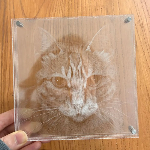 Stereoscopic picture