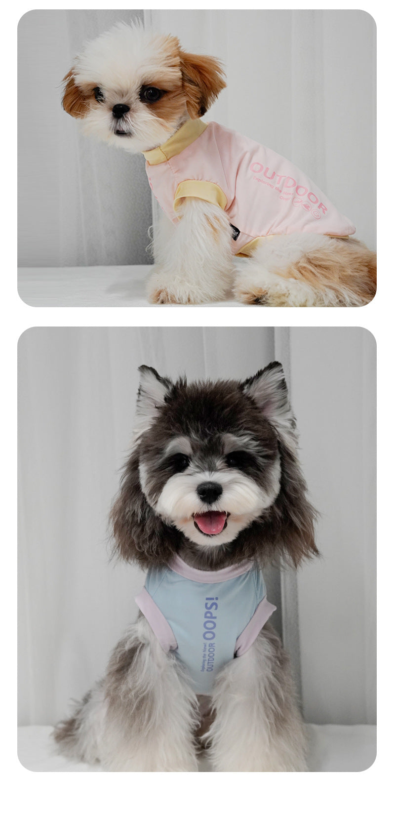 Stylish Dog Clothes for Small Dogs: Cool-Feet Color-Blocked Breathable Outerwear for Spring and Summer
