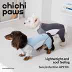 Cooling dog clothing with breathable fabric for summer weather