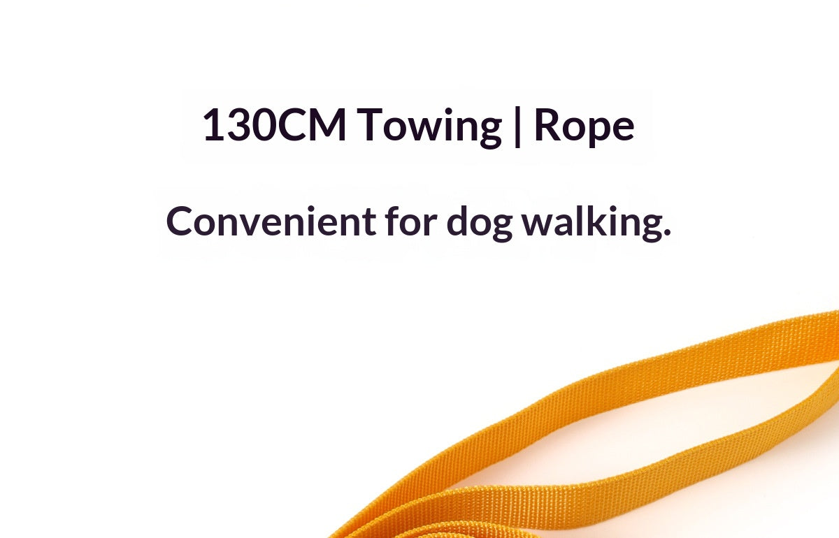 Comfort & Control: Small Dog Leash Harness for Bichon Frise and Pomeranian