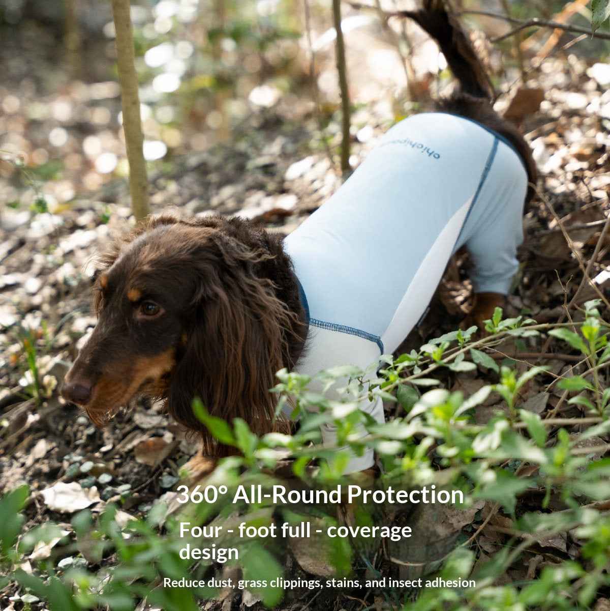 Four legged dog sun protection clothing for summer outdoor comfort
