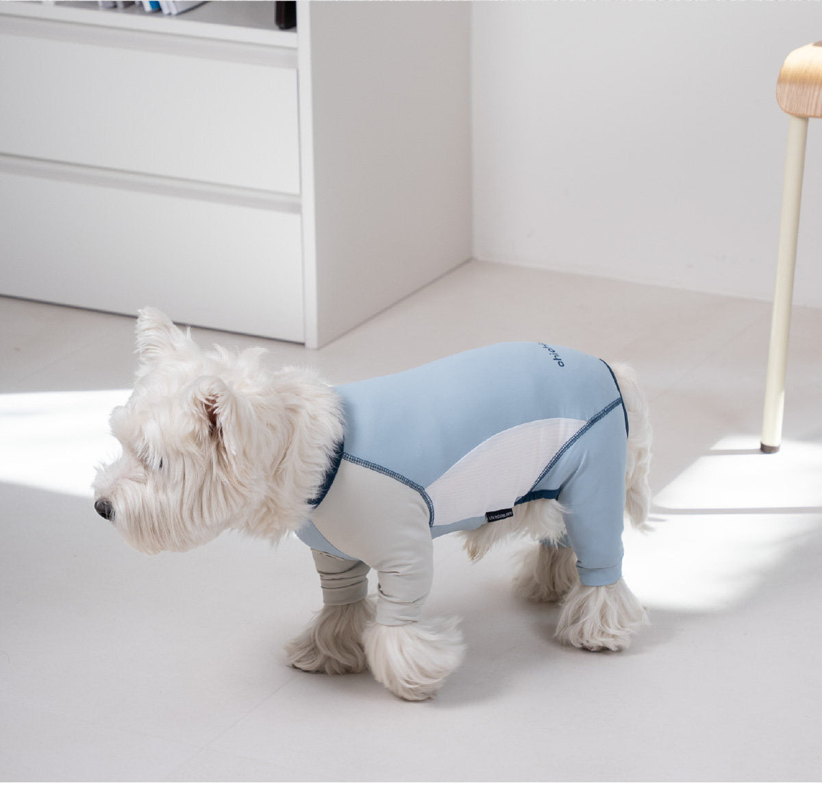 Protect Your Pup with Premium Dog Sun Protection Clothing for Bold Adventures