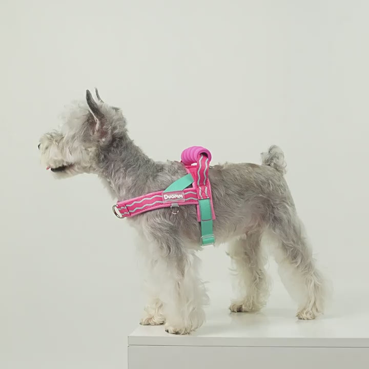 Durable T-shaped comfortable dog leash, dog harness, vest, pet walking leash for small and medium-sized dogs