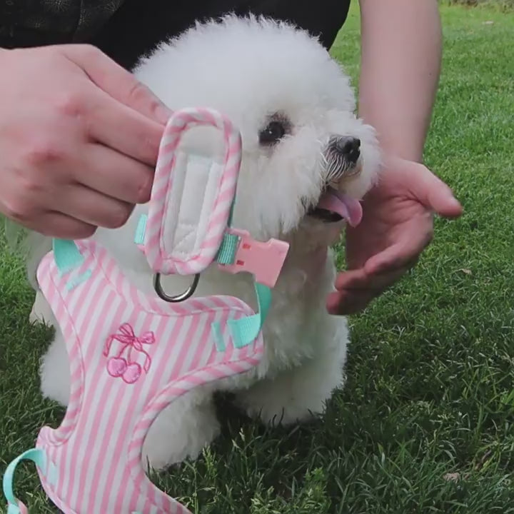 Pet vest-style harness, small dog leash, anti-escape, cute dog rope, small and medium-sized dog leash