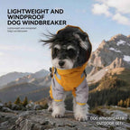 Summer dog protection shirt, breathable outdoor clothing for small and medium dogs - Everlasting Paws
